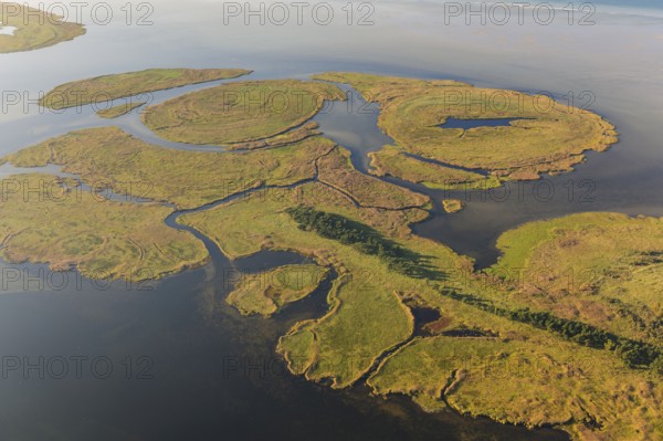 Small Werder Islands, Fischland-Darss-Zingst, National Park Vorpommersche Boddenlandschaft, Baltic Sea coast, Mecklenburg-Vorpommern, Germany, Europe