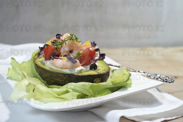 Filled avocado with shrimps, tomatoes, mayonnaise and cress garnish on lettuce and a white plate, light rustic background, festive appetizer or holiday snack, copy space, selected focus