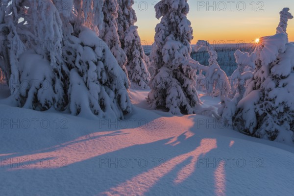 Winter landscape, Stubba Nature Reserve, Laponia World Heritage Site, Norrbotten, Lapland, Sweden, December 2014, Europe