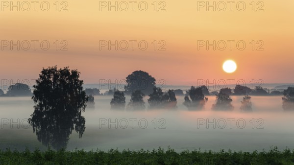 Foggy sunrise over the Donaumoos in Bavaria