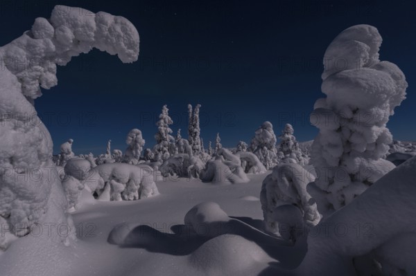 Snow-covered landscape in the moonlight, Gällivare, Norrbotten, Lapland, Sweden, December 2012, Europe
