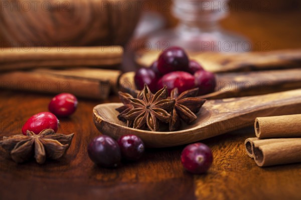 Ingredients for cooking cranberry hot mulled wine