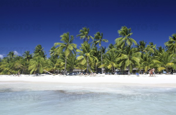 Beach on Saona Island, Parque Nacional del Este, Dominican Republic, Caribbean, Central America