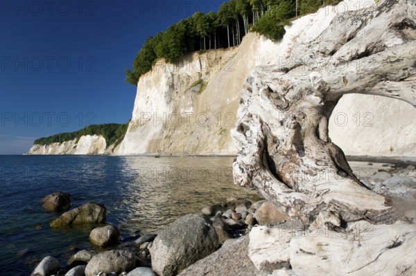 Cretaceous coast, Jasmund National Park, Island of Rügen, Mecklenburg-Western Pomerania, Germany, Europe