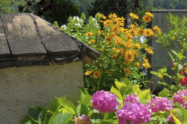 Peasant Garden, Wachau, Perennial Garden