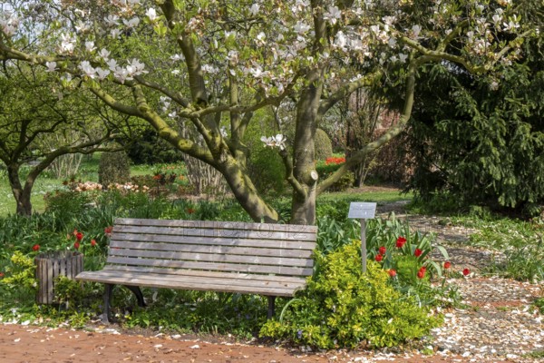 Spring in the District Teaching Garden