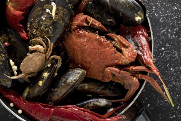 High angle of pan with crab and mussels