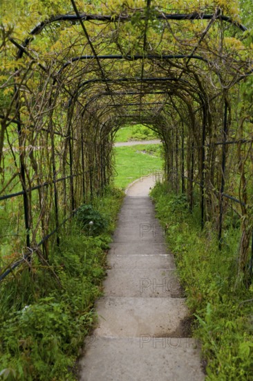 Medicinal plant garden, Celle, Lower Saxony, Germany, Europe