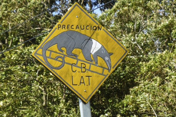 Roadsign precaution coatis