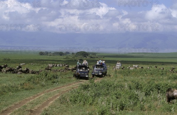 Tourists in Safari Vehicule, Tanzania, Africa