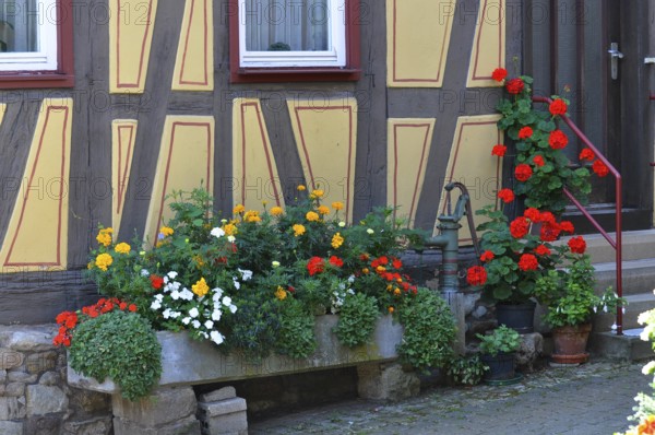 Fountain with summer flowers at the half-timbered house