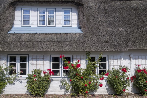 Frisian House, North Sea Island Föhr