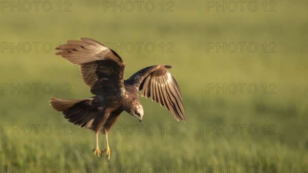 Landing approach