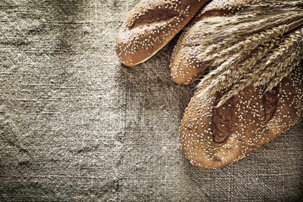 Crusty bread wheat ears on burlap background