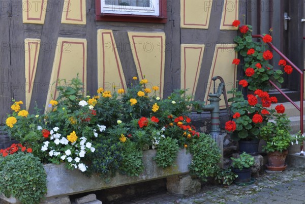 Fountain with summer flowers at the half-timbered house