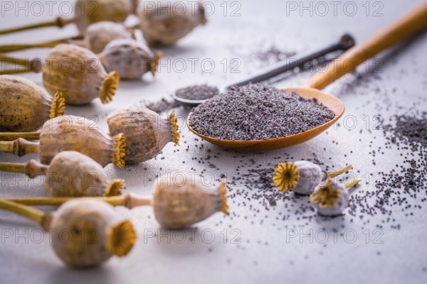 Bunch of poppy heads and bowl with seeds on kitchen table