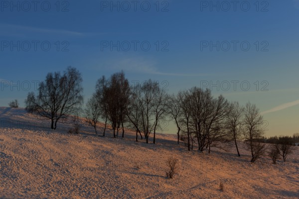 Evening red light in the Harz Mountains