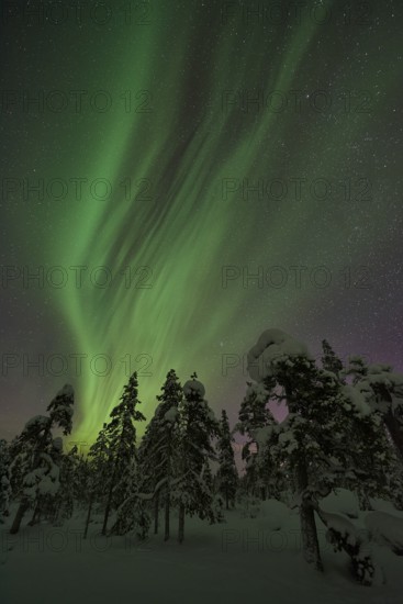 Northern Lights (Aurora borealis), Norrbotten, Lapland, Sweden, December 2015, Europe