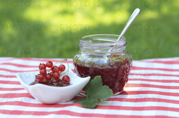 Jar of red currant jam on the napkin