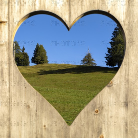 View of the Seiser Alm, Alpe di Siusi, South Tyrol through a heart in the wood