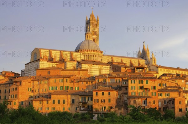 Siena night, Siena night 05