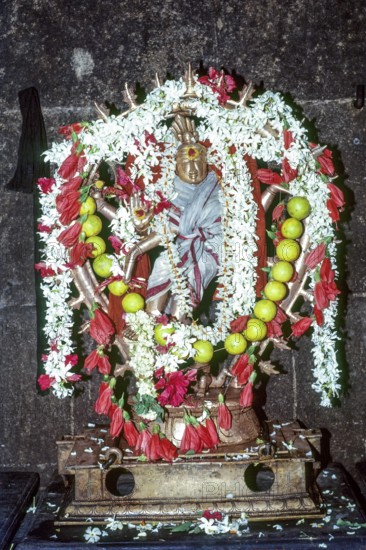 Decorated Urchava Nataraja in Thillai Nataraja temple in Chidambaram, Tamil Nadu, South India, India, Asia