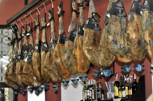Cordoba, row of Iberian hams hanging in a Spanish restaurant, Cordoba, Andalusia, Spain, Europe