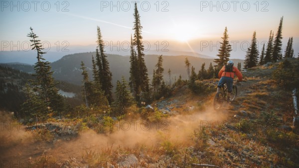 Mountain biker descending a forest trail at sunset, surrounded by trees and raising dust, Baldy Mountain, Nelson, BC, Canada, North America