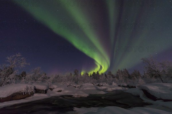 Northern Lights (Aurora borealis) over a moonlit winter landscape, Norrbotten, Lapland, Sweden, January 2017, Europe