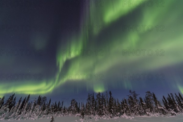 Northern Lights (Aurora borealis) over a moonlit winter landscape, Norrbotten, Lapland, Sweden, December 2016, Europe