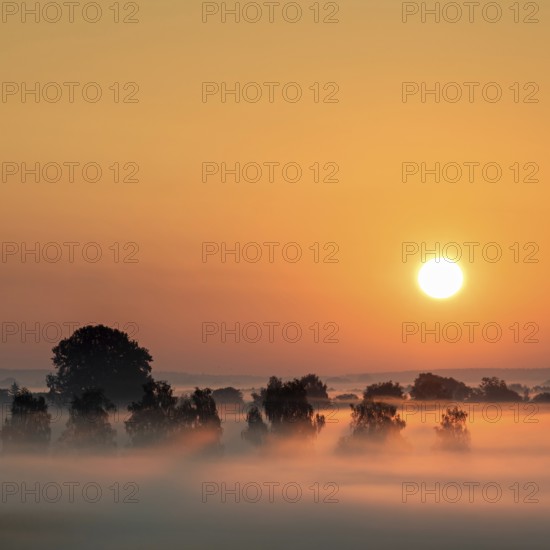 Foggy sunrise over the Donaumoos in Bavaria