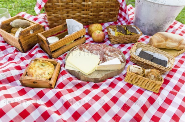 Picnic on a green lawn with various foods and drinks