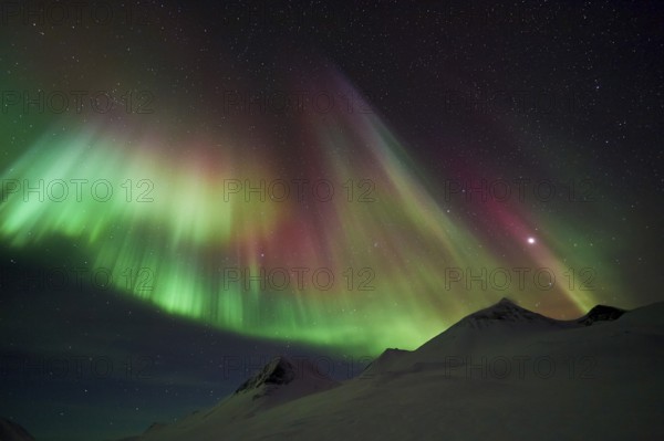 Northern Lights (Aurora borealis), Stuor Reiaddavaggi, Kebnekaisefjaell, Norrbotten, Lapland, Sweden, March 2014, Europe