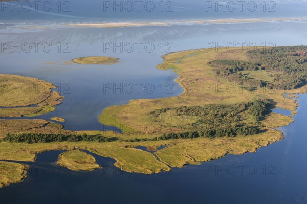 Small Werder Islands, Fischland-Darss-Zingst, National Park Vorpommersche Boddenlandschaft, Baltic Sea coast, Mecklenburg-Vorpommern, Germany, Europe