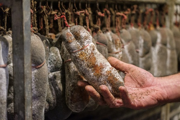 Sobrasada dryer, artisan sausages Cas Sereno, Inca, Mallorca, Balearic Islands, Spain, Europe