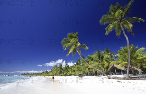 Palm Beach, National Park, Saona Island, Parque Nacional del Este, Dominican Republic, Central America