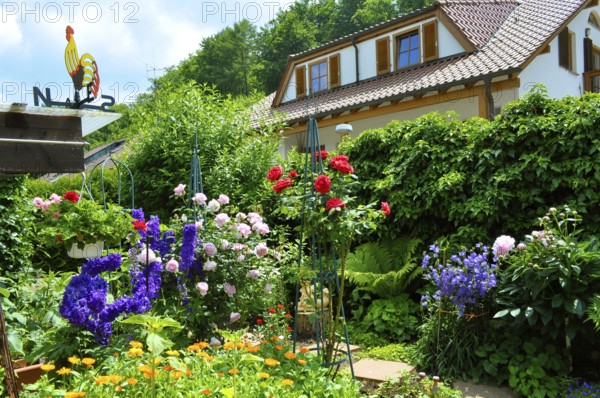 Flower garden in summer, home garden, perennial garden in summer, various summer flowers