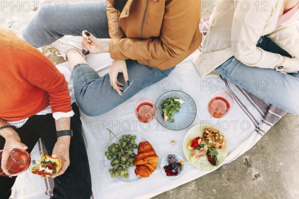 Cheerful young girlfriends drinking wine and eating bruschettas while having picnic on summer weekend day in park. Top view