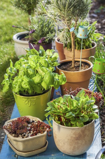Outdoor flower pots for small garden, patio or terrace