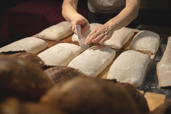 Women's hands carry out actions with raw bread. Dough before dipping into a bakery oven