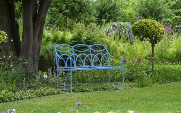 Blue bench in the district educational garden, Burgsteinfurt, Münsterland, North Rhine-Westphalia, Germany, Europe