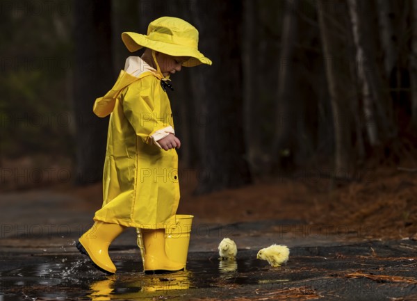 A small child plays in the rain while little chicks try to get a drink of water