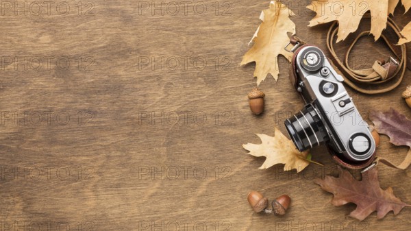 Top view camera with autumn leaves copy space. Beautiful photo