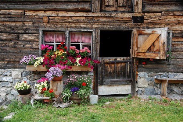 Flower decoration in front of alpine hut in Lechtal, Tyrol, Austria, Europe