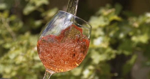 Pink Wine being poured into Glass