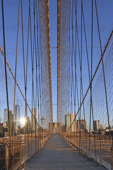 View in flight from cable stays of the Brooklyn Bridge, deserted in the morning, Brooklyn Bridge Manhattan, Brooklyn, New York City, New York, USA, North America