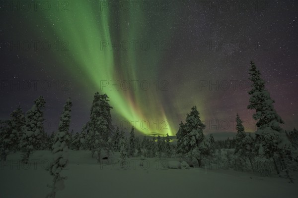Northern Lights (Aurora borealis), Norrbotten, Lapland, Sweden, December 2015, Europe
