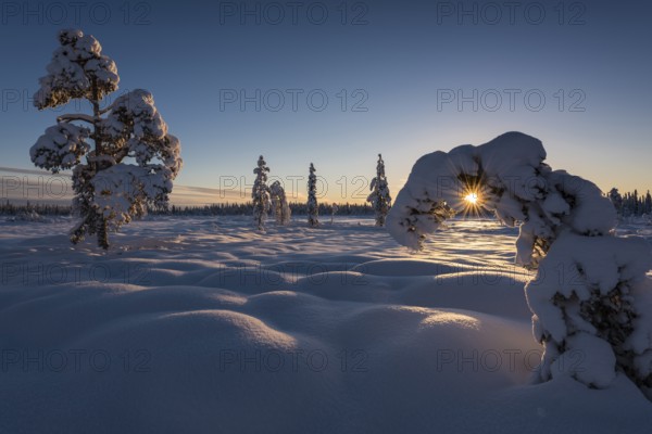 Winter landscape, Muddus National Park, Laponia World Heritage Site, Norrbotten, Lapland, Sweden, November 2015, Europe