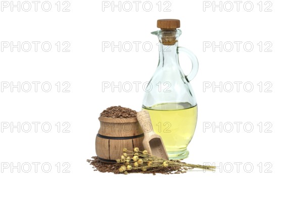Linseed oil in glass decanter and linseed in wooden scoop near bunch of flax plants isolated on white background. Linum usitatissimum (Common Flax)
