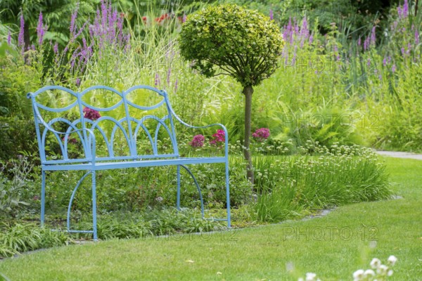 Blue bench in the district educational garden, Burgsteinfurt, Münsterland, North Rhine-Westphalia, Germany, Europe
